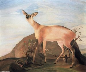 Deer — Tivadar Csontváry Kosztka