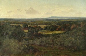 Blackdown From Hascombe — Byron Cooper