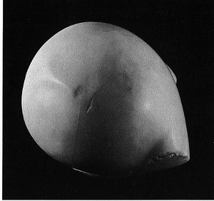 Prometheus — Constantin Brâncuși