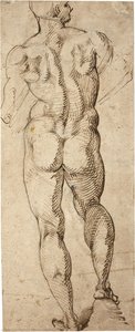 Male Nude — Bartolomeo Passarotti