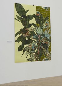 Cassava Garden
