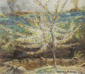 The Cherry Tree — William Hoggatt