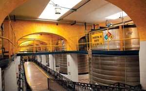 Fermentación Del Jugo De Agave Dentro De La Destilería La Rojeña En Tequila, Jalisco — Fernando Guillén Cuervo