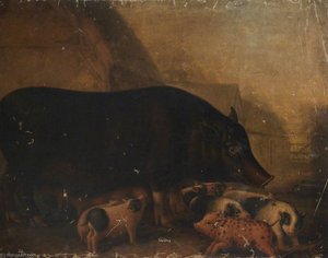 Siamese Sow And Piglets — William Shiels
