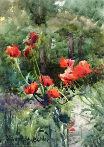Garden Poppies — Mildred Anne Butler