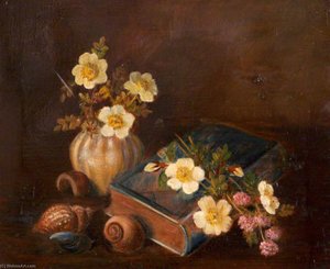 Still Life Of Shells And A Casket — Rosalie Chichester