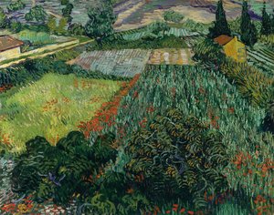 Laukų Su Puškomėle — Vinsentas Van Gogas