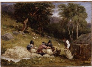 Sheep Shearing — David Cox
