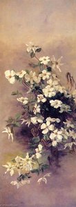 Madrone, Dogwood And Elderberry (ii) — Abbey Williams Hill