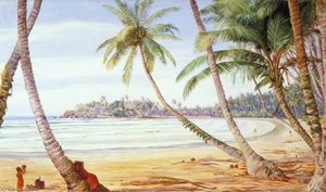Cocoanut Palms Op De Kust Bij Galle, Ceylon — Marianne North