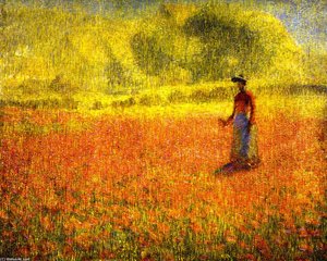 Poppies — Phillip Leslie Hale