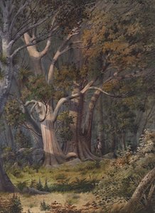 Burial Place Of Hone Heke, Bay Of Islands — Alfred Thompson Bricher