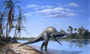 Saurolophus — Kish, Eleanor M. (ely)