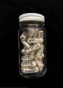Encapsulated Vote — Antonella Piemontese