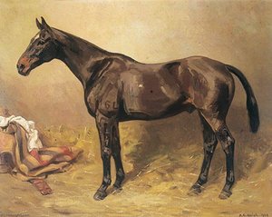 Horse Portrait, 'lancer' — Alfred Grenfell Haigh