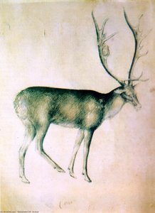 Stag (from A Sketch-book) — Giovannino De' Grassi