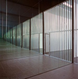 Infinite Cell — Alfredo Jaar