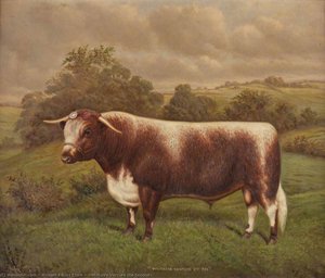 'whitacre Venture The Second' — William Albert Clark