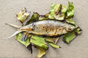 Grilled Milkfish Wrapped In Banana Leaves — José Luis "chele" Gonzalez