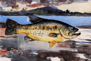 Bass — Winslow Homer
