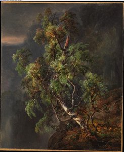 Birch Tree In A Storm (1849) — Johan Christian Claussen Dahl