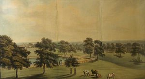 The Green Park — William Burgess