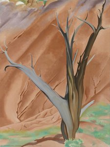 Gerald — Georgia O'keeffe