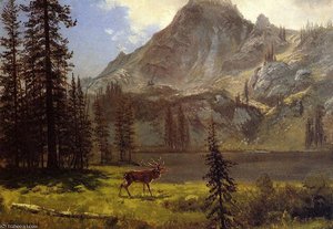 Call Of The Wild — Albert Bierstadt