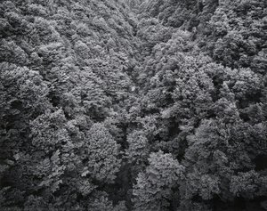 Untitled (waterfall) — Yojiro Imasaka