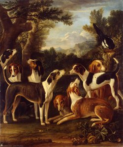 Hounds And A Magpie — John Wootton