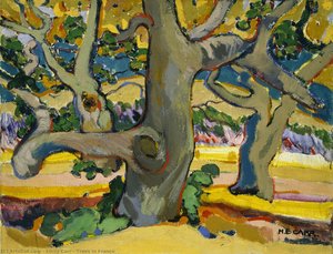 Trees In France — 에밀리 카