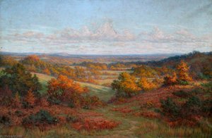 Sussex Weald — Byron Cooper