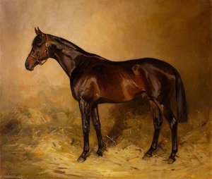 'cannobie' — Alfred Grenfell Haigh
