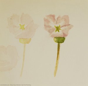 My First Painting — Mary Vaux Walcott