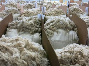 Samil Mohair Factory — Liza Grobler