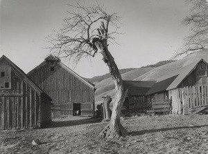 Happy Farmyard, Grande Ronde Valley, Oregon — Minor White