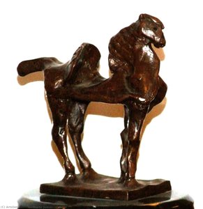 Caballo — Heriberto Juárez