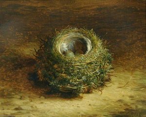 A Bird's Nest — Abel Hold