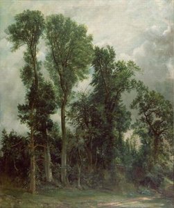 Bäume Auf Hampstead — John Constable