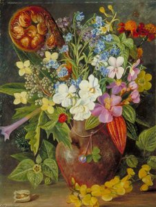 Gruppo Di Fiori Selvatici Di Giava, Da Tosari — Marianne North