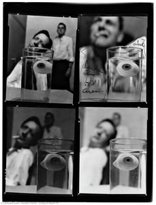 Contact Sheet P5, — Gordon Parks