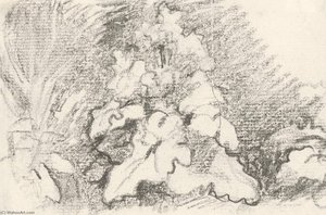 A Study Of Burdock Leaves — John Constable