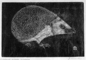 The Hedgehog — Jan Mankes