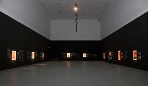Exhibition Scene — Zhu Wei