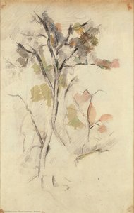 Arbres — Paul Cézanne