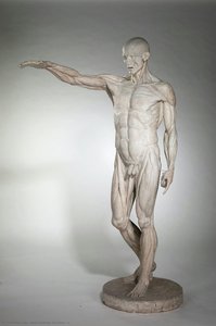 L — Jean-antoine Houdon
