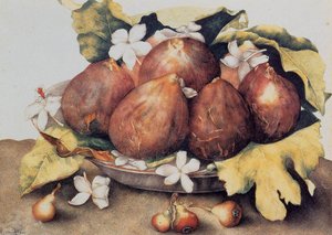 Figs — Giovanna Garzoni