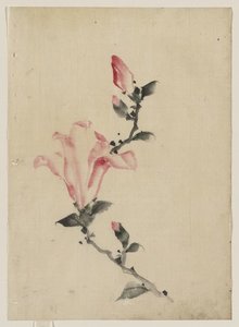 Large Pink Blossom On A Stem With Three Additional Buds — Katsushika Hokusai