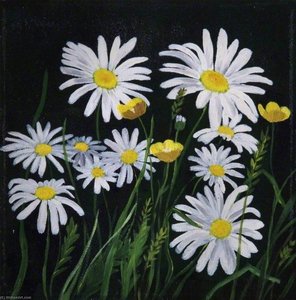 Poppies, Buttercups And Daisies — Michele Elizabeth Field