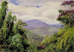 View Of The Piedade Mountains From Congo, Brazil — Marianne North